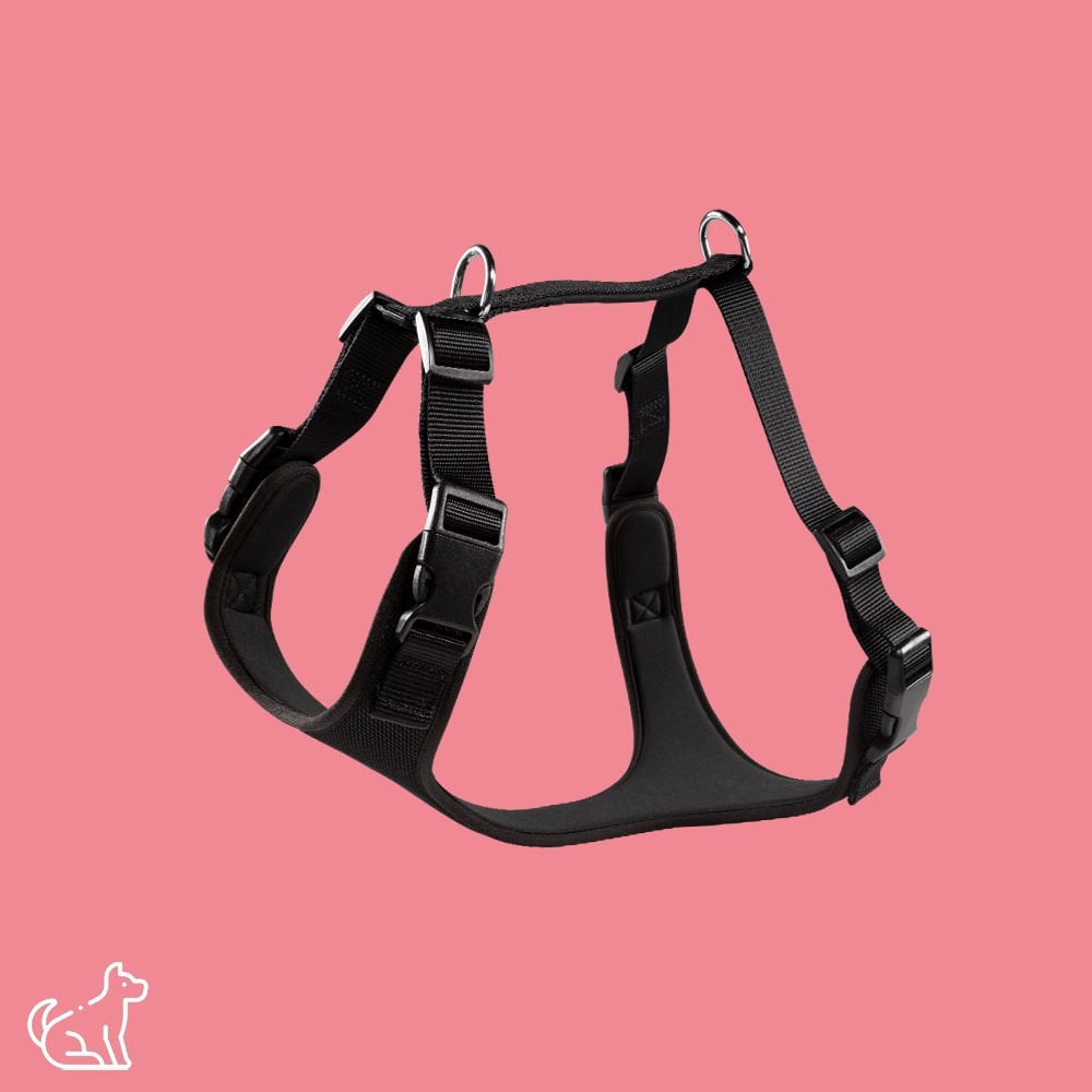 Keyf Havalı Dokuma Göğüs Tasması XL - Siyah