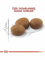 Royal Canin Fhn Sterilised 37 Kısırlaştırılmış Kedi Maması 4 Kg 253704000