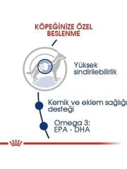 Royal Canin Maxi Adult Büyük Irk Yetişkin Köpek Maması 15 kg 300715000