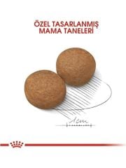 Royal Canin Maxi Adult Büyük Irk Yetişkin Köpek Maması 15 kg 300715000