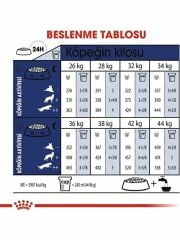 Royal Canin Maxi Adult Büyük Irk Yetişkin Köpek Maması 15 kg 300715000