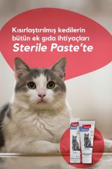 BioFeline Kısır Kediler İçin Multivitaminli Malt Macun Sterile Paste 100 gr