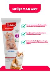 BioFeline Kitten Paste Yavru ve Anne Kediler İçin Bağışıklık Sistemi Destekleyici Macun 100 gr