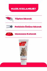 BioFeline Multi Paste Multivitamin Macun 100 gr