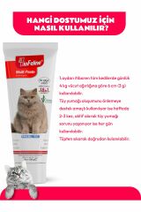 BioFeline Multi Paste Multivitamin Macun 100 gr