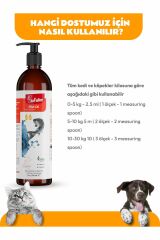 Biofeline Salmon Oil 200 ml Kedi ve Köpekler için Omega 3 ve 6 Desteğ
